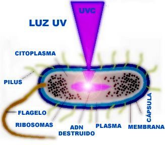 ACQUATICOS: ESTERILIZADOR ULTRAVIOLETA UV